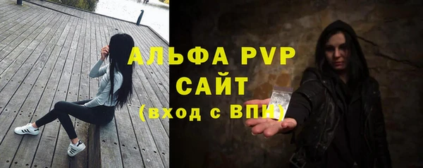 крисы Алексин
