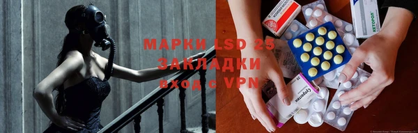 крисы Алексин