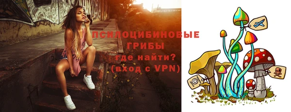 a pvp Алзамай