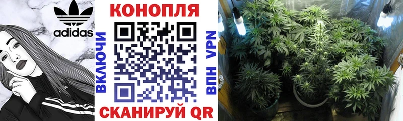 Бошки марихуана VHQ  Ува 